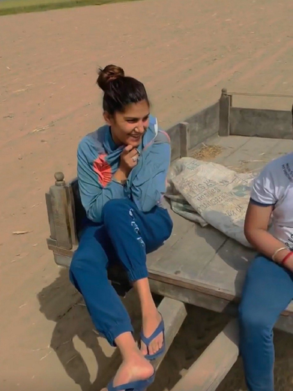 पति संग ट्रैक्टर पर घास लाती दिखीं सपना चौधरी