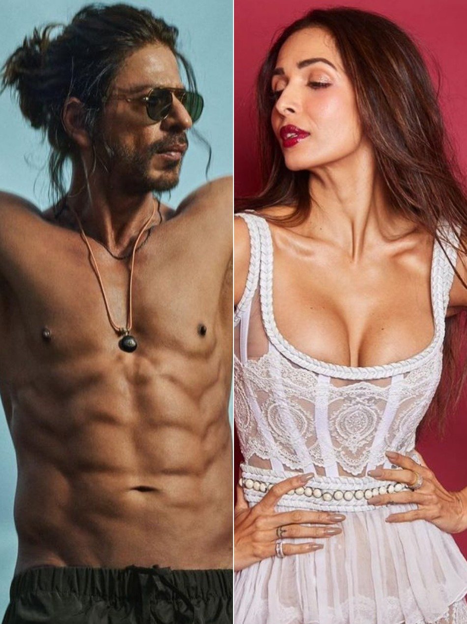 SRK के 6 पैक देख खुद को रोक नहीं पाईं मलाइका!