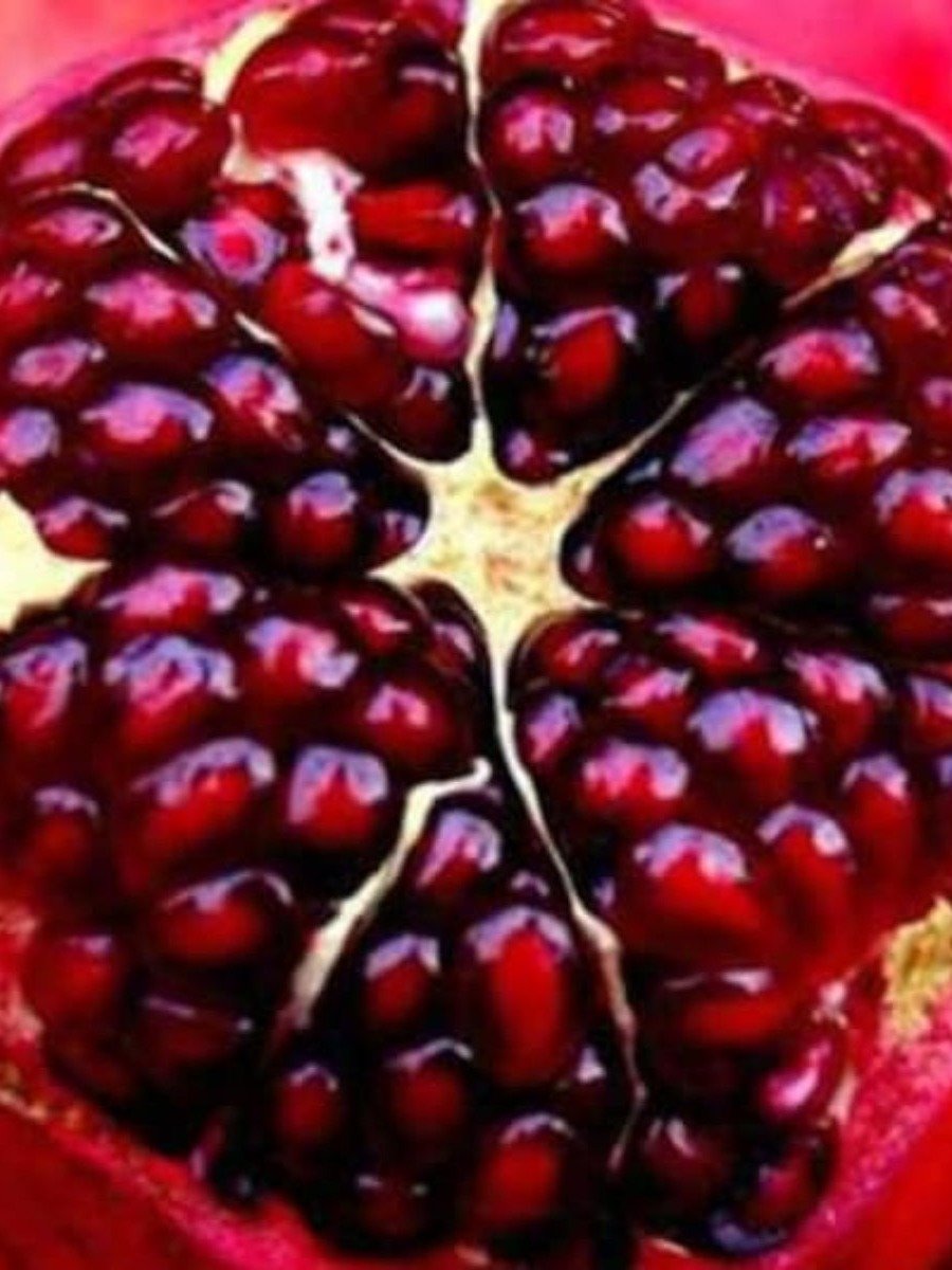 বয়সকে  থমকে দিতে পারে বেদানা!!!