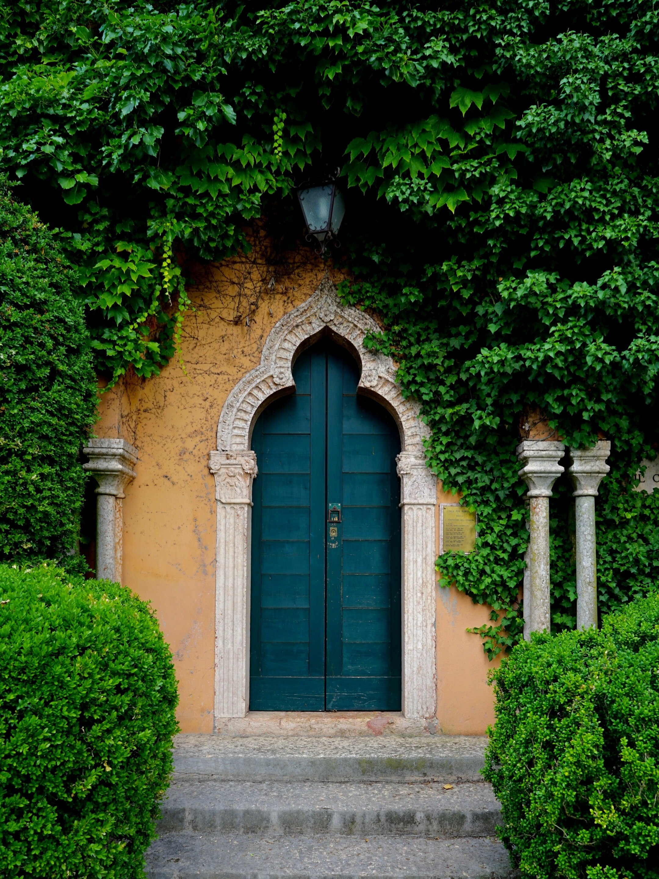 বাড়ির মূল দরজায়  লাগান এই ৩ গাছ, হবে টাকার বৃষ্টি