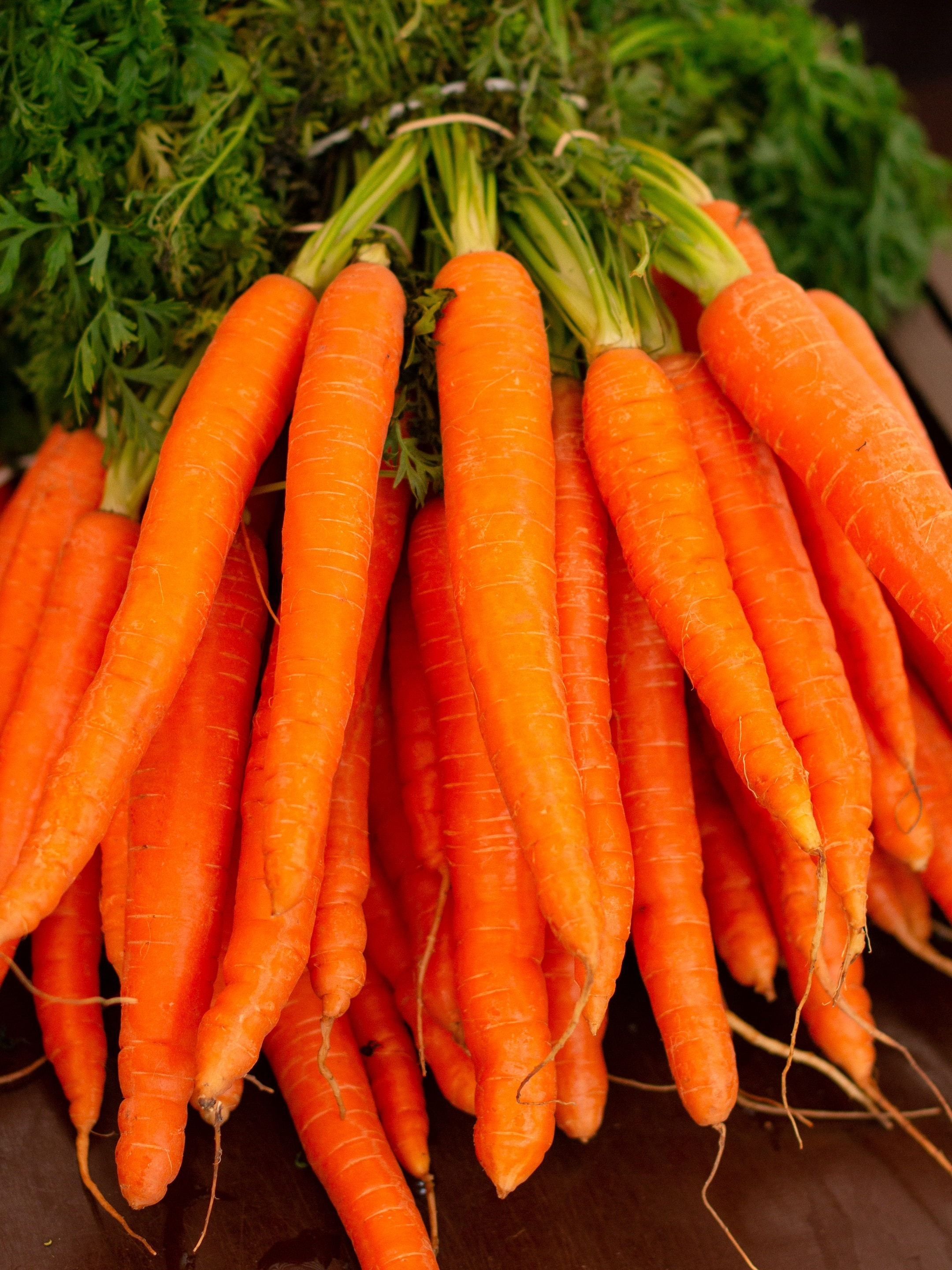 Carrot side effects mdv