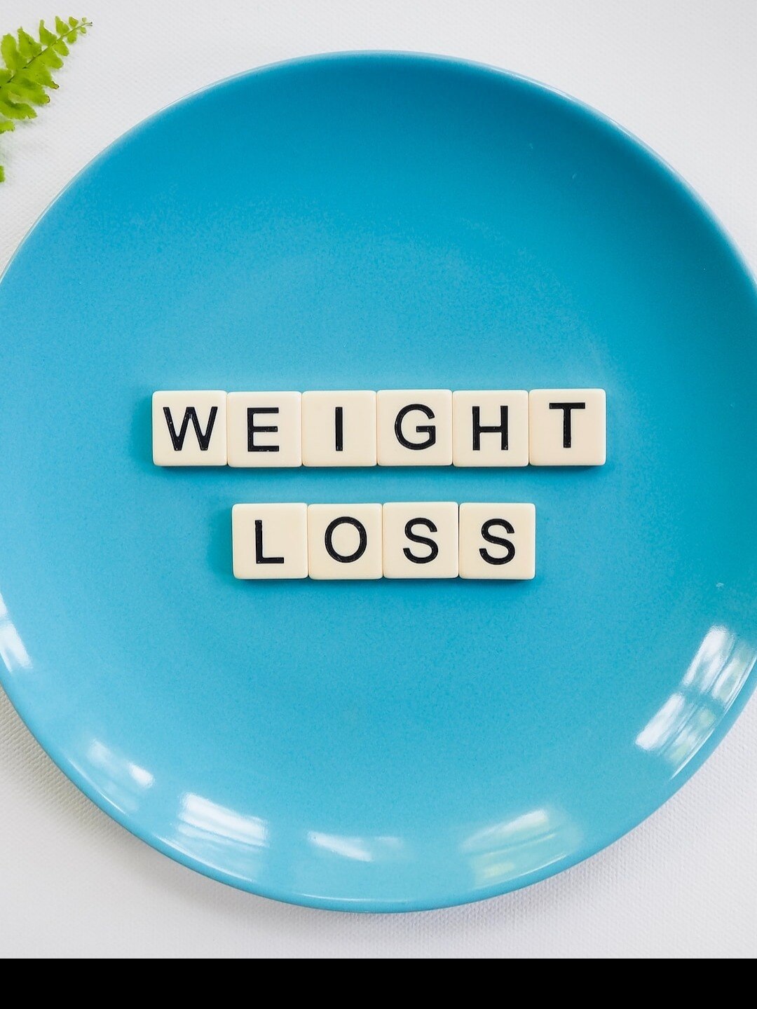 ৩ সপ্তাহে ওজন ঝরে পুজোর আগেই স্লিম, TIPS