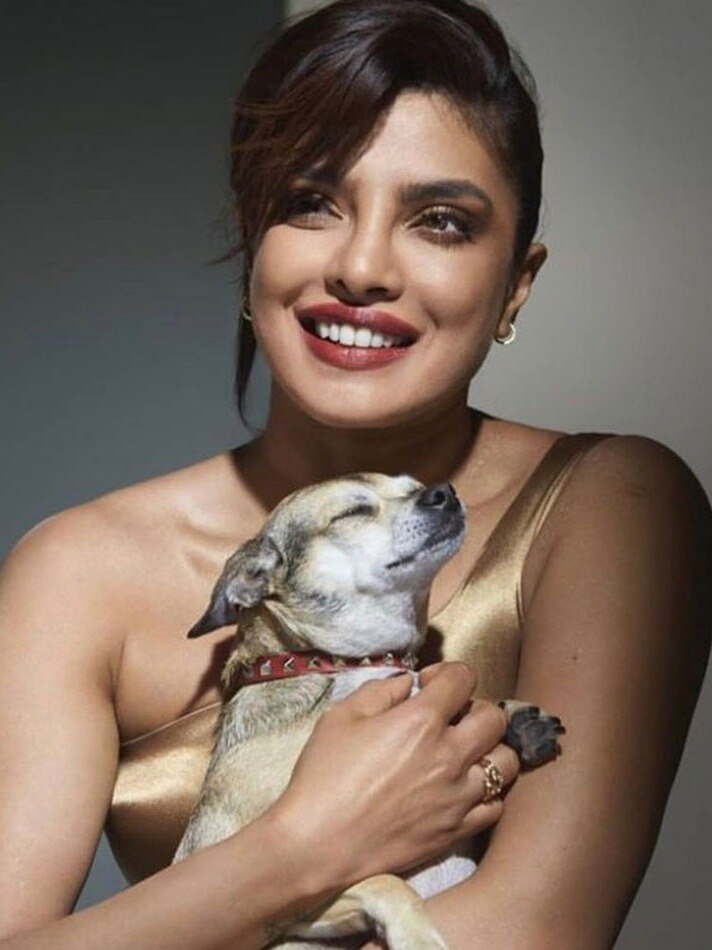 मिलिए बॉलीवुड स्टार्स और उनके डॉग्स से