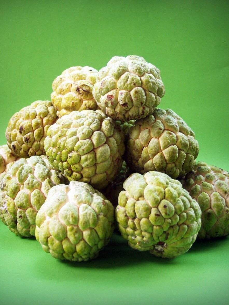 আতা ডায়াবেটিসে থেকে ডিপ্রেশন, একাধিক রোগের ওষুধ