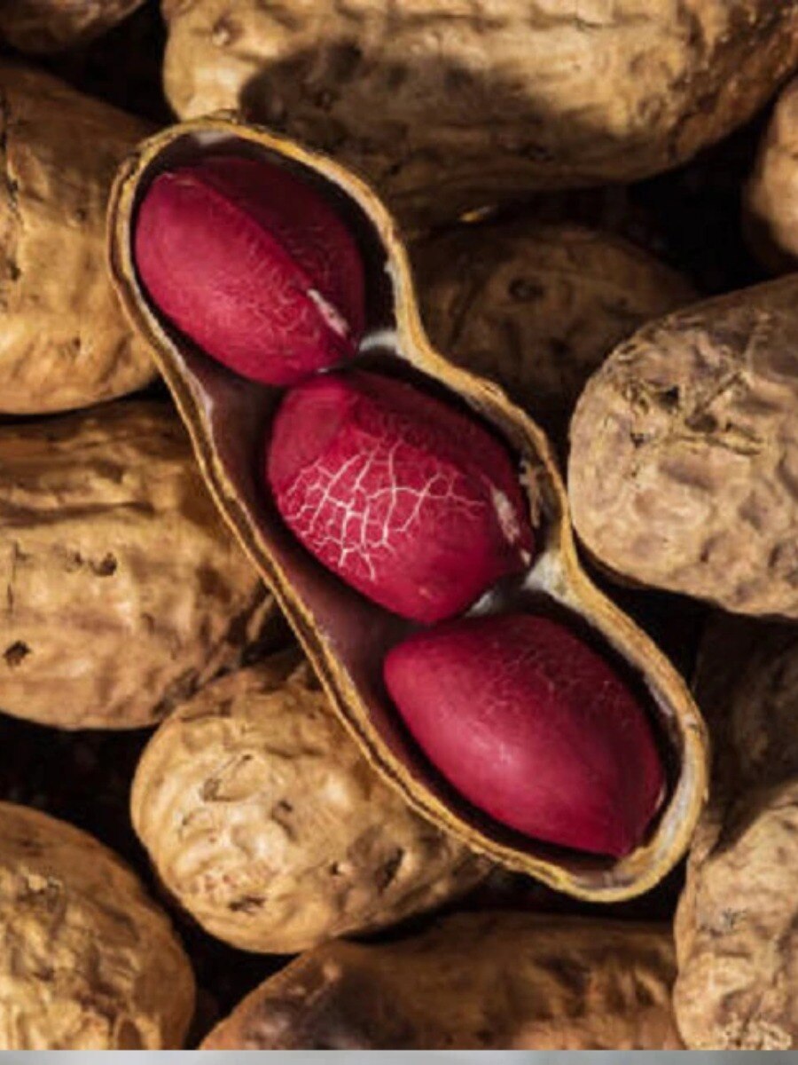 জানেন চিনেবাদাম খাওয়ার সঠিক উপায়?