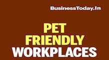 India Inc embracing pet-friendly offices India Inc embracing pet-friendly offices