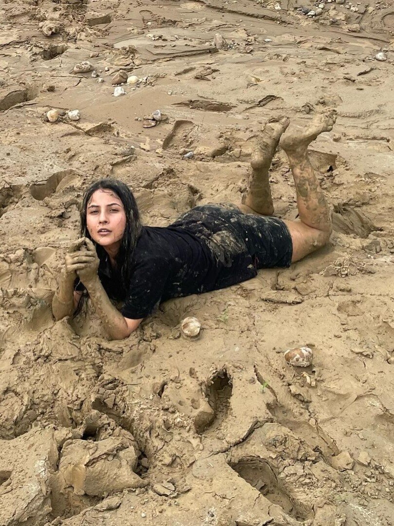 कैसे कीचड़ में ग‍िरीं शहनाज गिल?