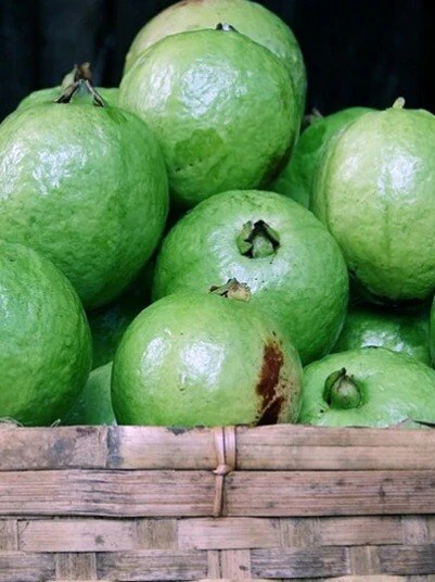 এই ৩ ধরনের মানুষ ভুলেও খাবেন না পেয়ারা!