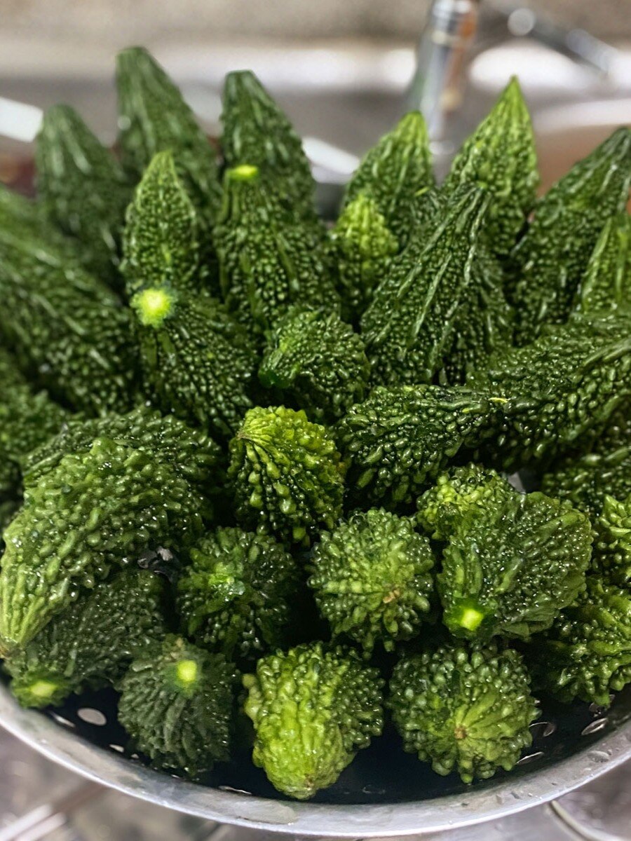 ডায়াবেটিসের সঙ্গে কোলেস্টেরলেরও যম করলা, এভাবে খান!