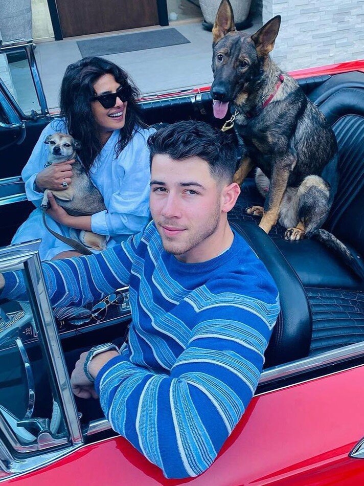 सोशल मीडिया स्टार हैं प्र‍ियंका चोपड़ा के कुत्ते, हजारों में फालोअर्स 