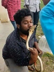 Video: खतरनाक स्टंट! युवक ने किया सांप को Kiss