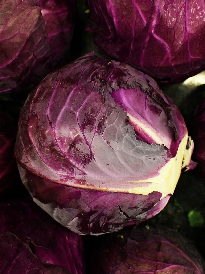 বেগুনি বাঁধাকপির উপকারিতা চমকে দেওয়ার মত