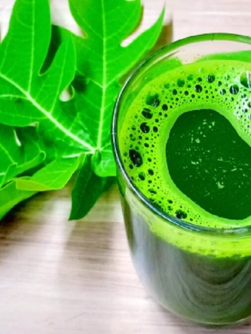 इस जूस के सेवन से बढ़ती हैं प्लेटलेट्स, जानें बनाने का तरीका Dengue