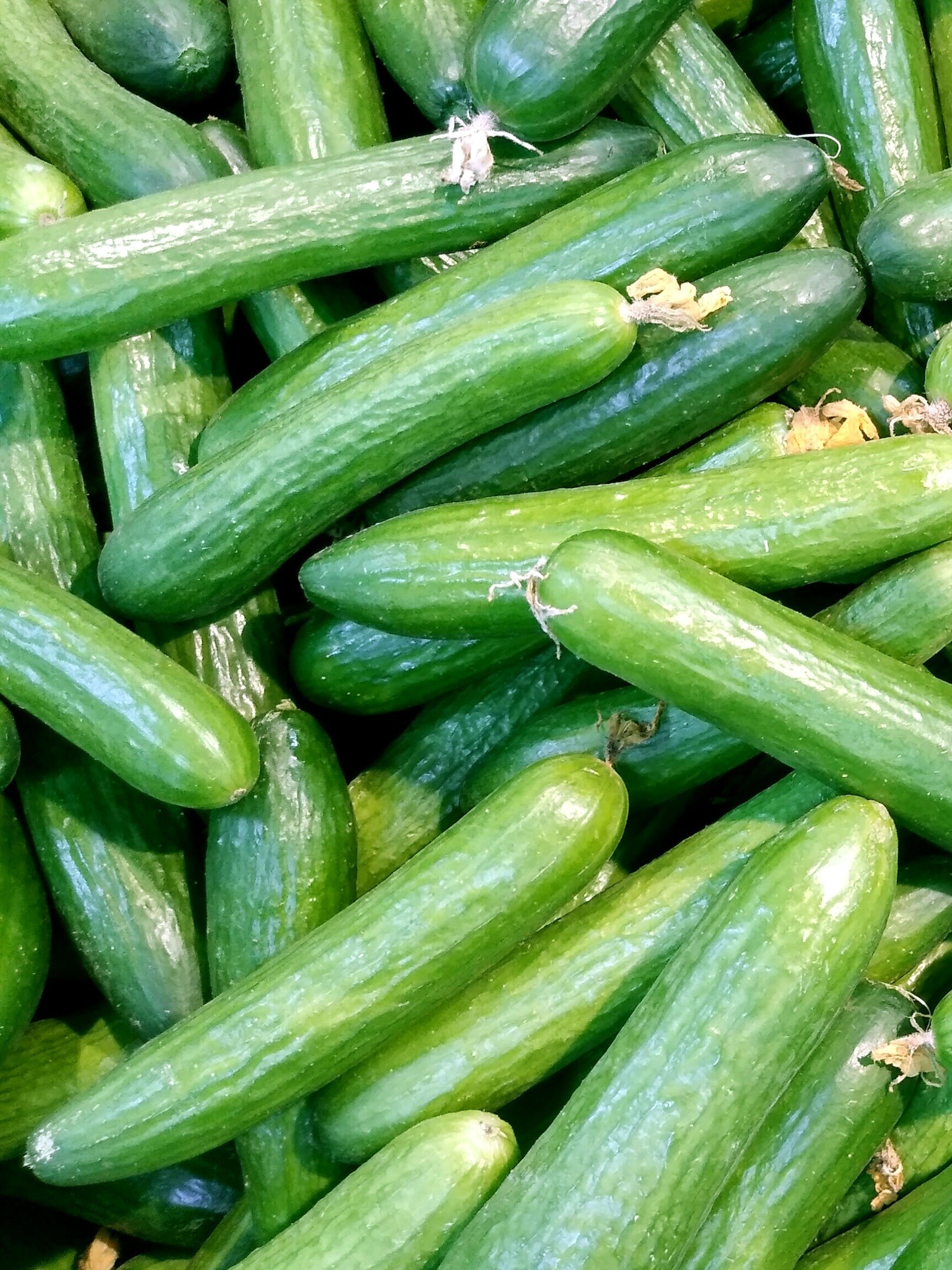 শসা খান তবে সময় বুঝে, এই সময়ে ভুলেও না