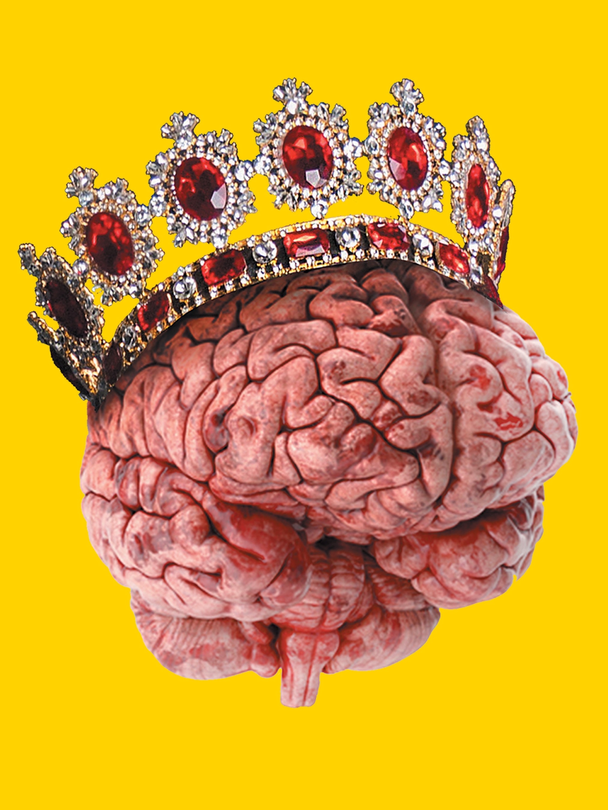 কোন ফল খেলে বুদ্ধি খোলে, বাড়ে স্মৃতিশক্তি?