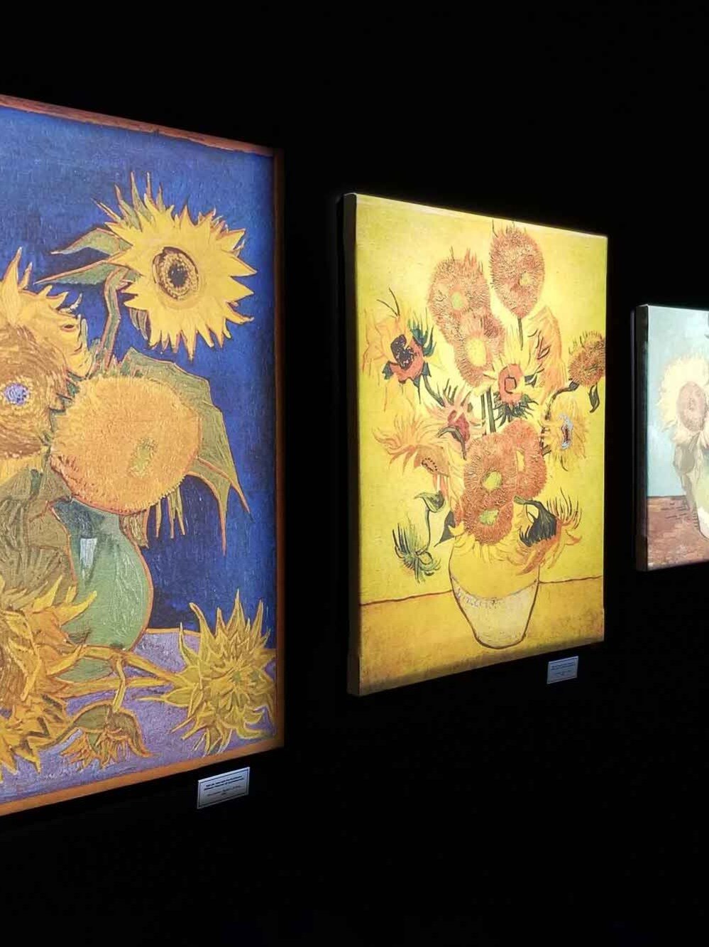 Van Gogh Immersive is coming to Mumbai in 2023!    