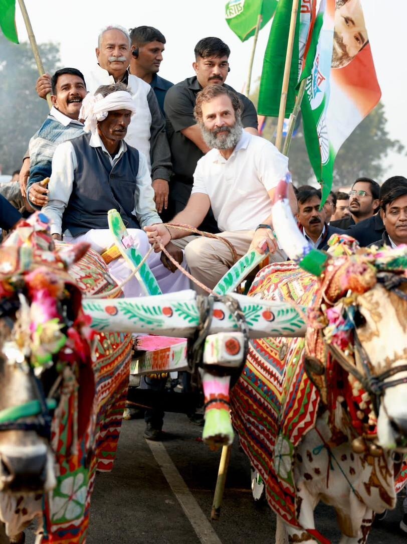 राहुल गांधी ने राजस्थान में चलाई बैलगाड़ी, देखें वीडियो