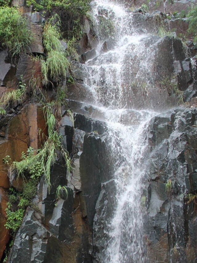 बारिश से निखरी तिरुमाला की सुंदरता, देखें नज़ारा