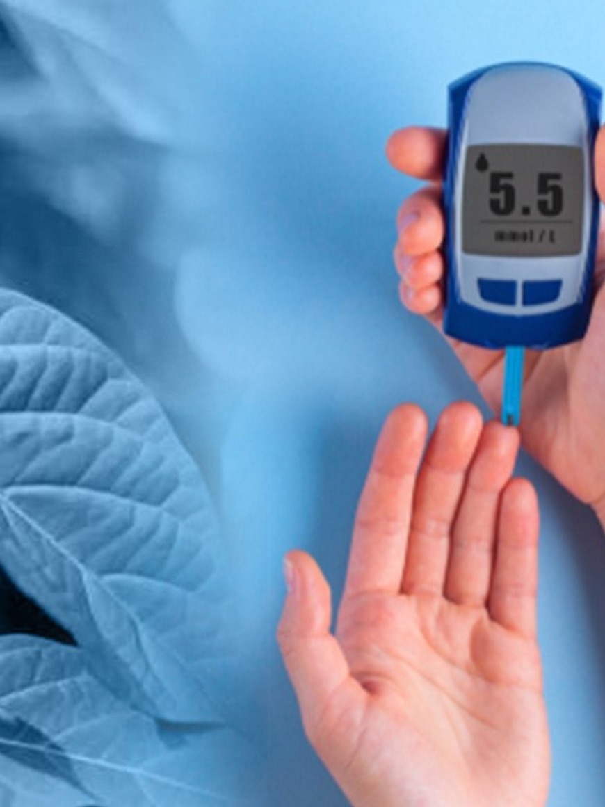 সুগার কন্ট্রোলে চিবিয়ে খানা এই ৫ পাতা