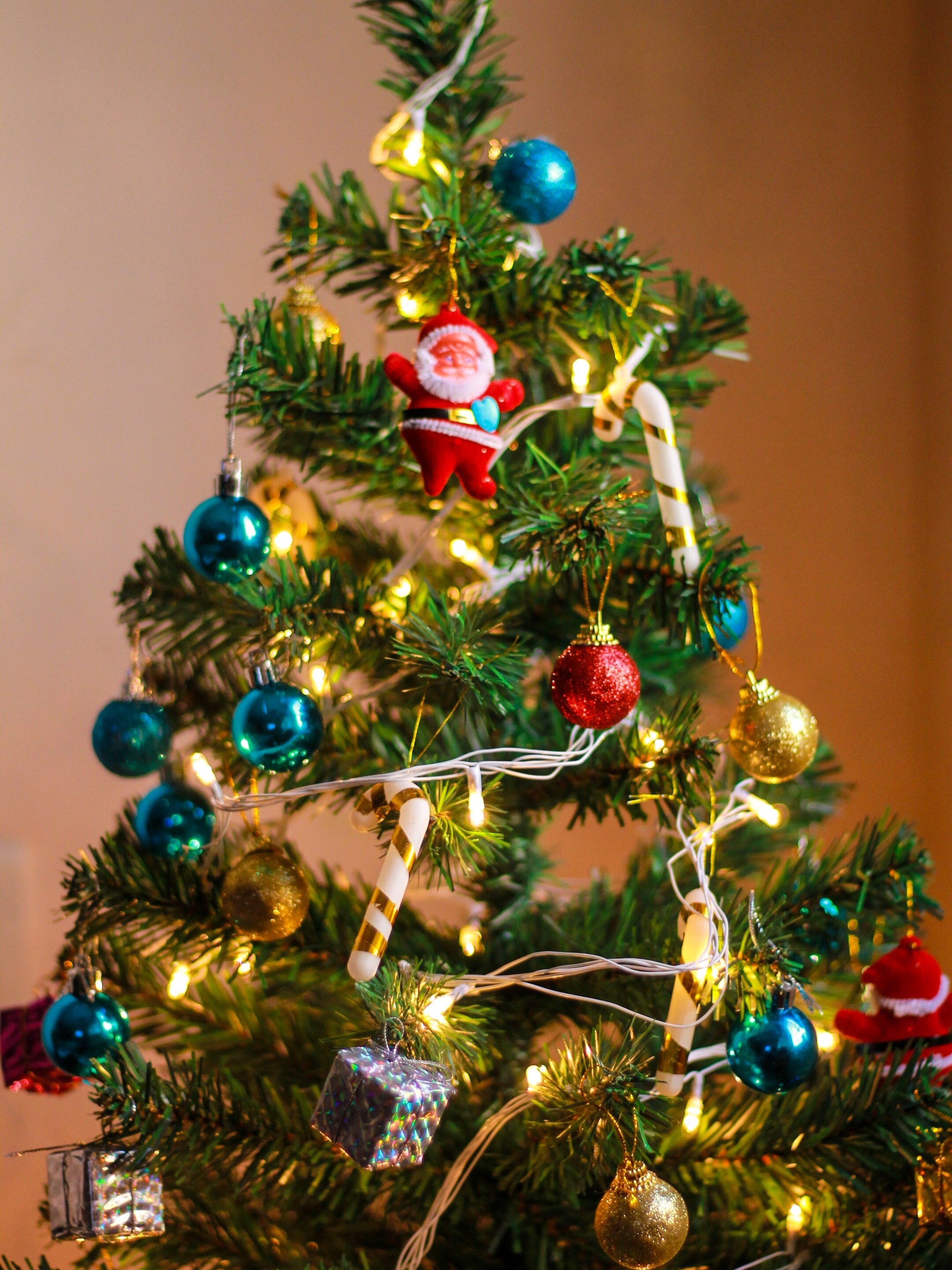 বড়দিনে এভাবে সাজান ক্রিসমাস ট্রি, দারুণ শুভ