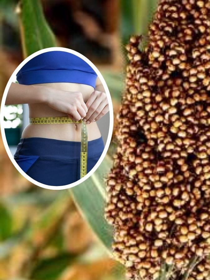 बाजरा के हैं चौंकाने वाले फायदे! Know healthy benefits of millet