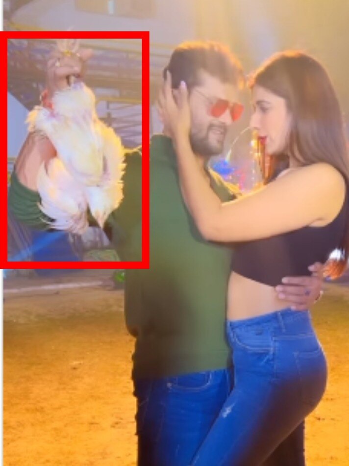 हाथ में मुर्गी पकड़कर रोमांस कर रहे खेसारी, यूजर्स बोले- उसे छोड़ो, PETA को बुलाओ