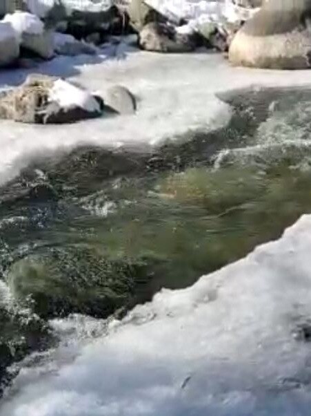 पहाड़ों पर बर्फबारी, J&K में माइनस टेम्प्रेचर में जमने लगीं नदियां!