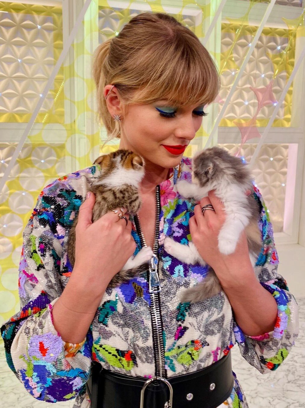 800 करोड़ की मालकिन है इस सिंगर की बिल्ली, कैसे बनीं इतनी अमीर?