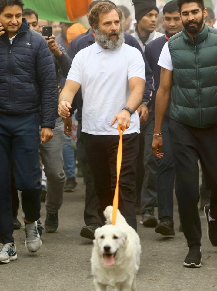 राहुल गांधी की भारत जोड़ो यात्रा में पहुंचा यह डॉगी किसका? 