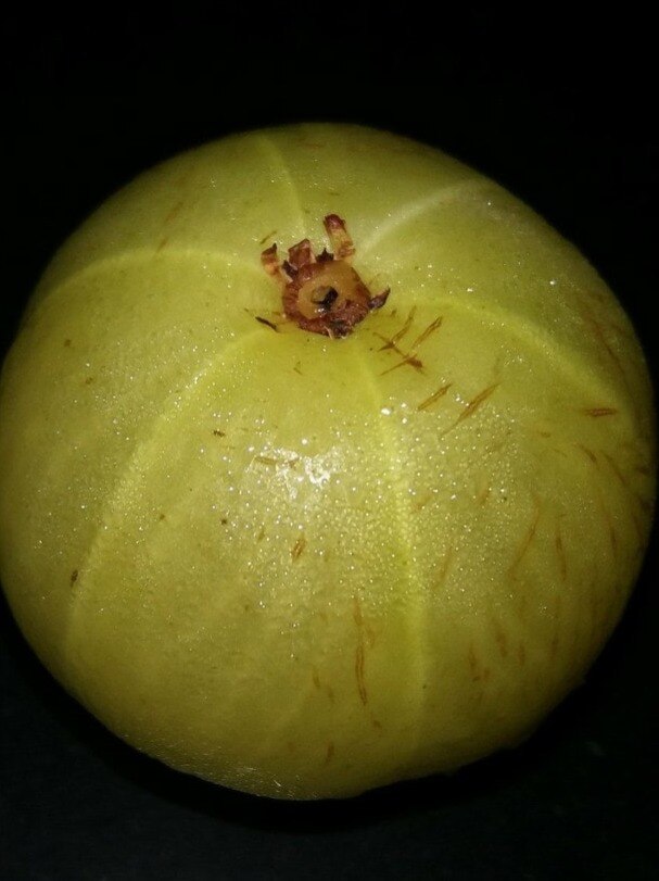 শীতে আমলকী দারুণ উপকারী  