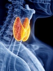  থাইরয়েডে বেড়ে যাওয়া ওজন কমানোর উপায়