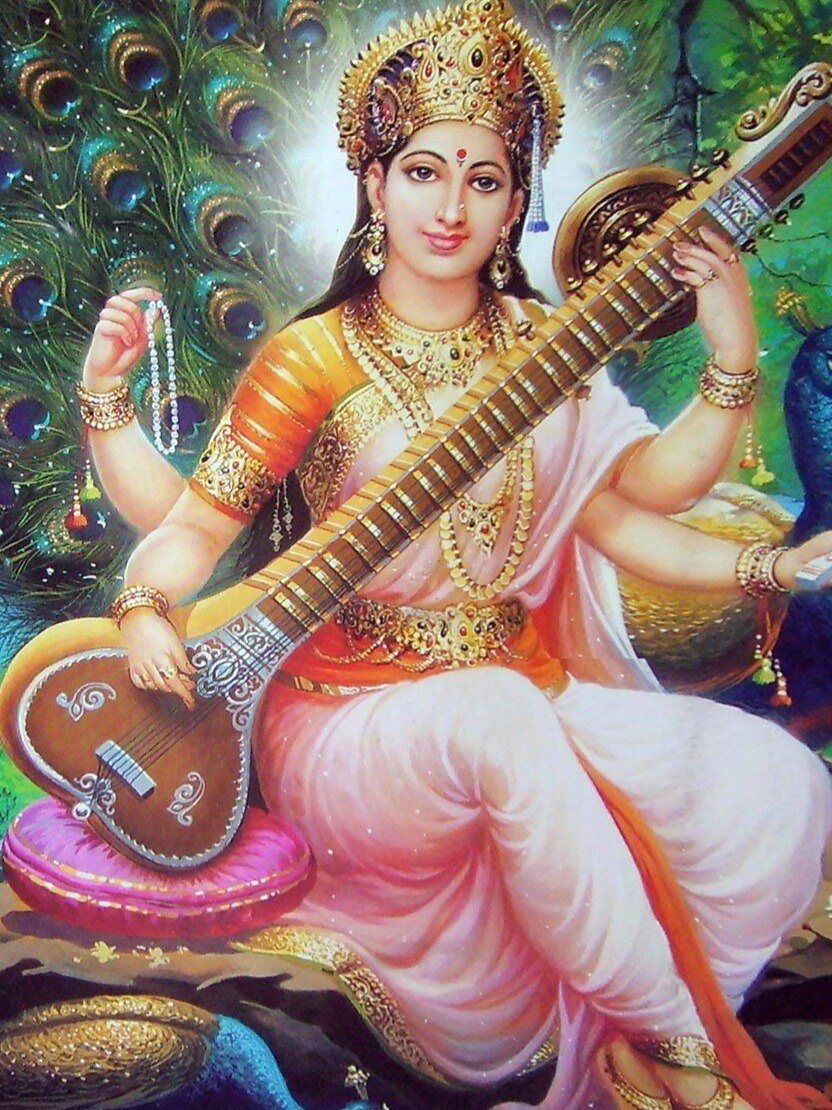 বসন্ত পঞ্চমীতে বাড়িতে লাগান এই গাছ