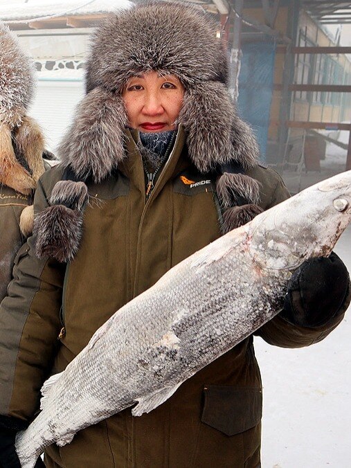 माइनस 50 तापमान में भी जिंदगी गुलजार! देखें कैसे रहते हैं लोग 