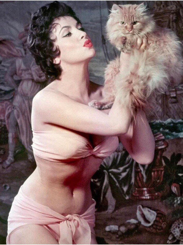 इतने अरब की संपत्ति छोड़ गई दुनिया की सबसे खूबसूरत एक्ट्रेस, जिसके दीवाने रहे सुपरस्टार्स