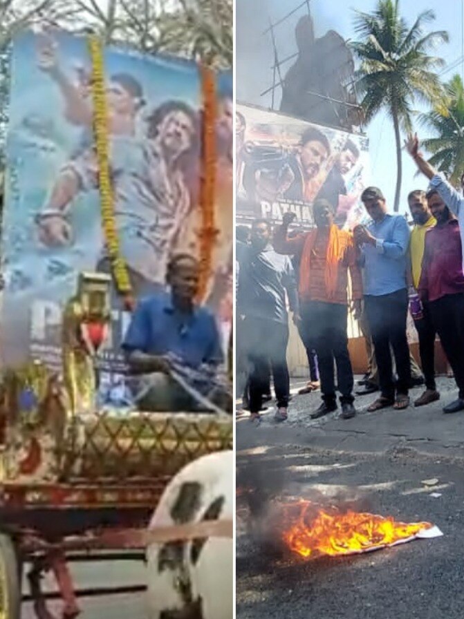 पठान के नाम पर मची हाय-तौबा, कहीं जले पोस्टर, कहीं दूल्हा बने शाहरुख