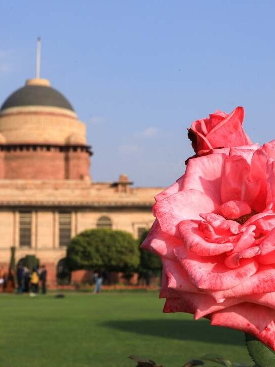 मुगल गार्डन किसने दिया था नाम? जानें इतिहास 