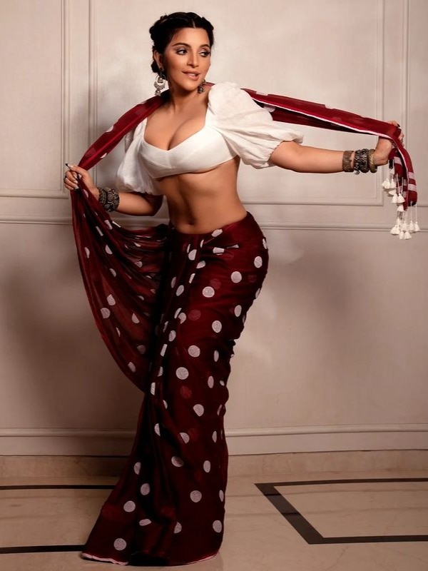 साड़ी में शमा सिकंदर की अदाएं, बोलीं- पल्लू सरका जाए...