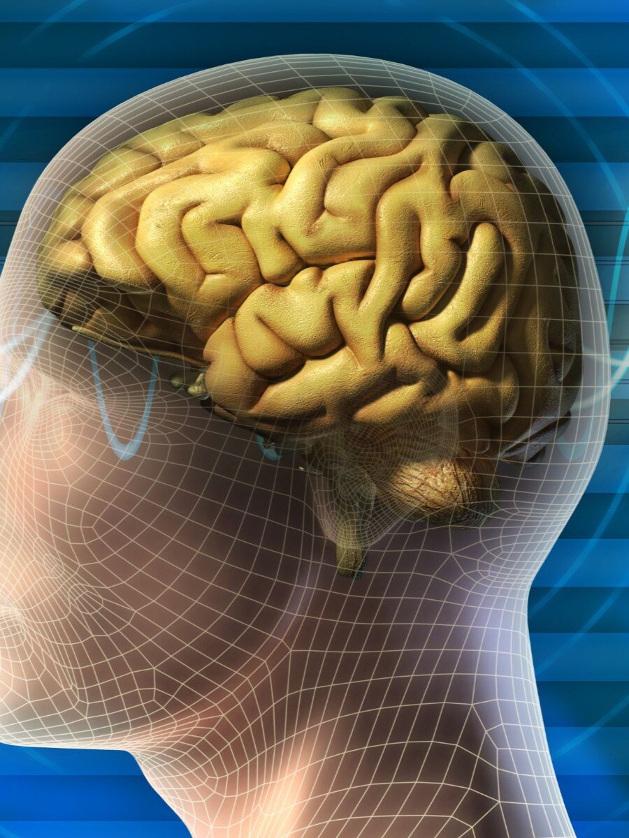  স্মৃতিশক্তি দুর্বল করে এই খাবারগুলি