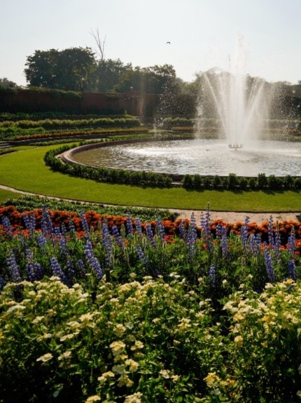 अमृत उद्यान की इन खूबसूरत तस्वीरों से नहीं हटेगी नज़र