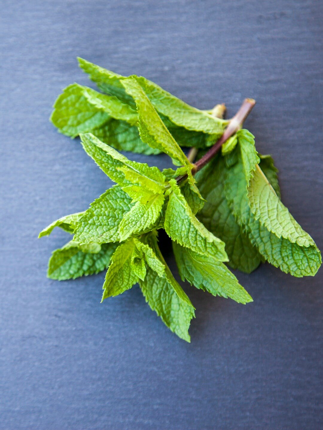 ইউরিক অ্যাসিড, কিডনির সমস্যা দূরে রাখে পুদিনা 