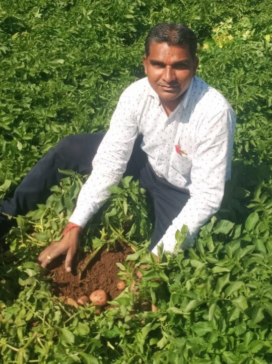 किसान का कमाल, पथरीली जमीन पर उगाया आलू