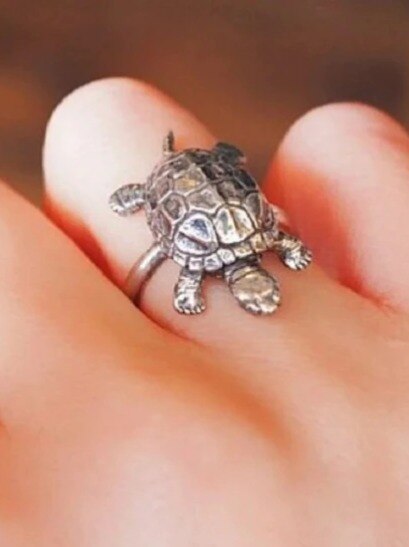 অর্থভাগ্য উজ্জ্বল করতে পরুন কচ্ছপের আংটি