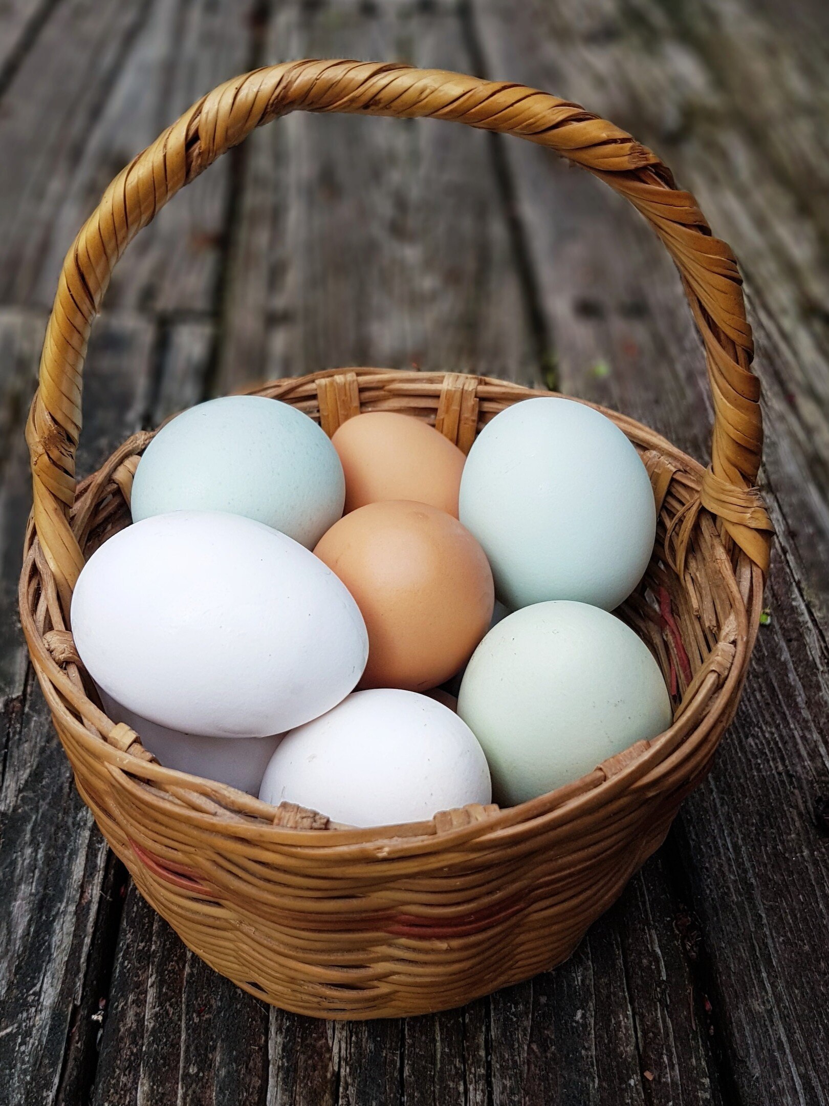 সাদা না ব্রাউন, কোন ডিম বেশি উপকারী? 