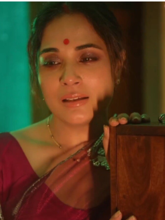 शादी के चार महीने बाद ही अकेली पड़ीं ऋचा चड्ढा, पति को याद कर रोईं! Funny Video