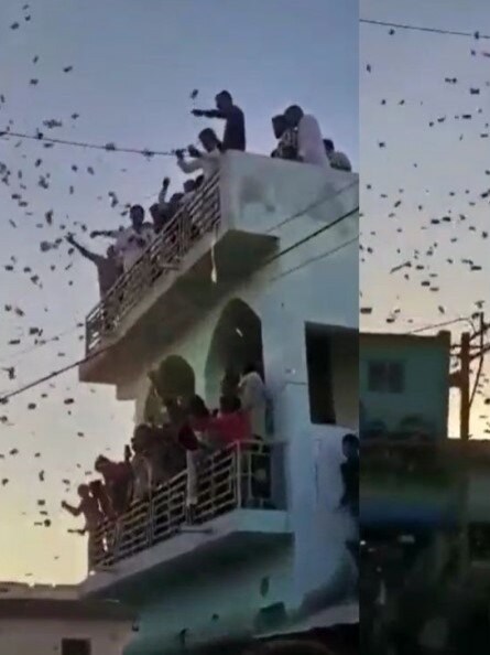 It’s raining money in Gujarat! Viral video shows ex-Sarpanch showering cash at wedding event in Mehsana