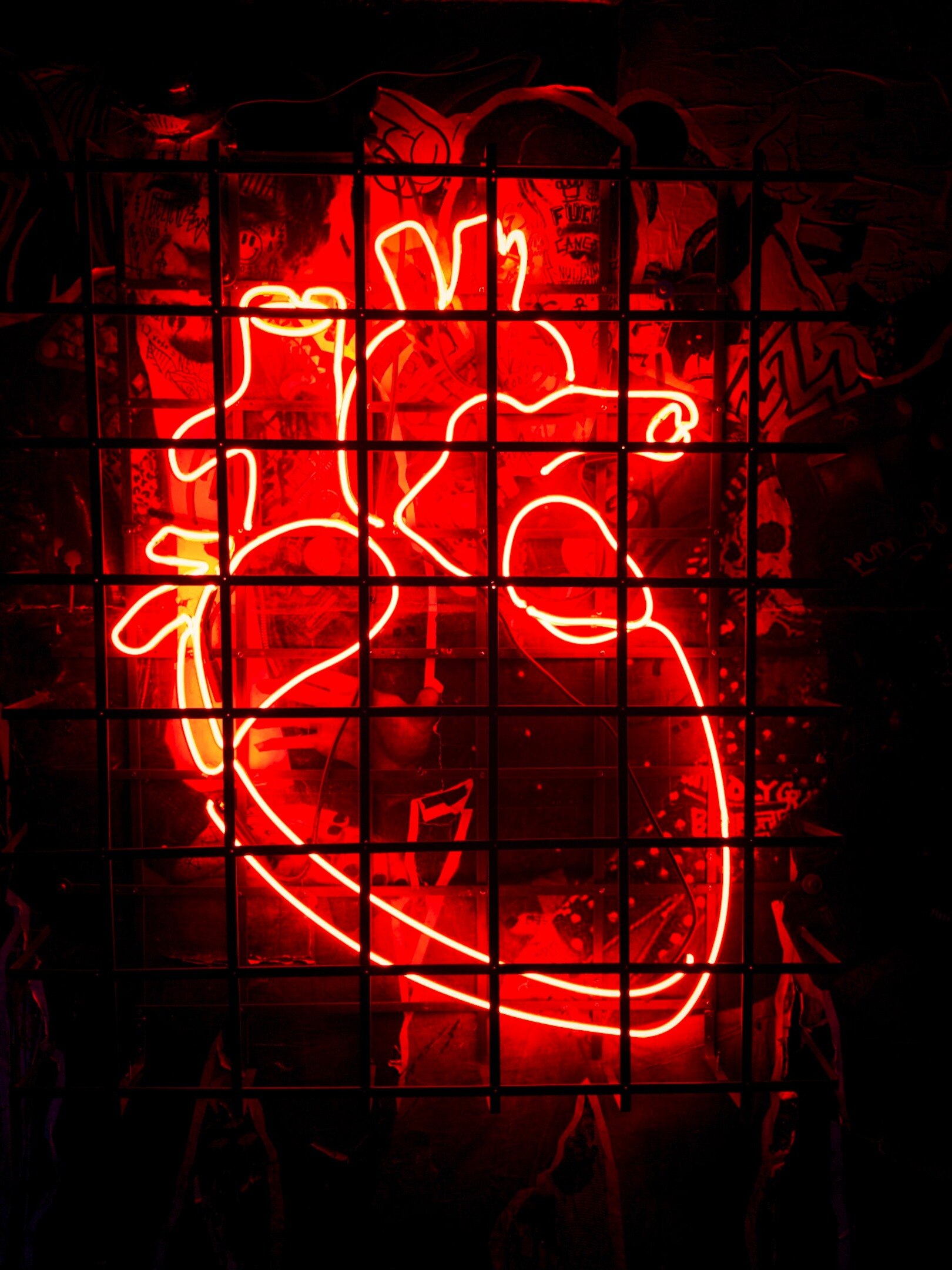  হৃদরোগের ঝুঁকি কমায় যে  ৪ সুপারফুড