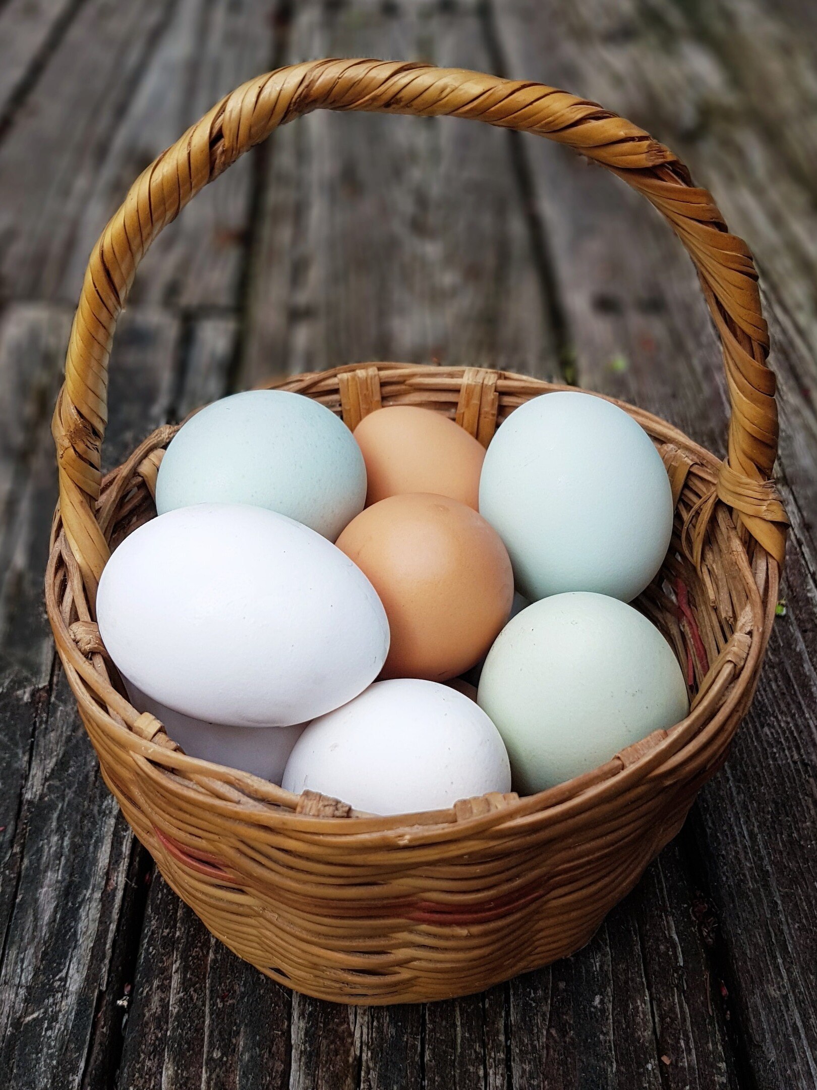  কাদের ডিম খাওয়া খুব বিপজ্জনক? 