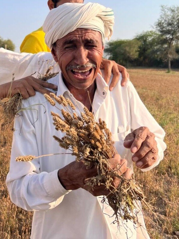 मौसम की मार, बारिश से बर्बाद फसल देख रो रहे किसान!