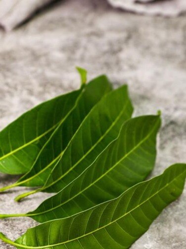 इन पांच पत्तियों से करें सुबह की शुरुआत - These five leaves must be