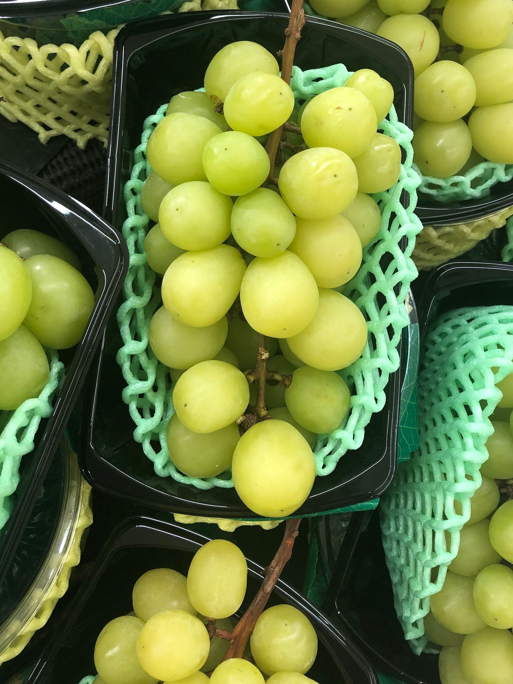 अंगूर के हैं कई अचूक फायदे...कोलेस्ट्रॉल कम करने और हड्डी मजबूत करने